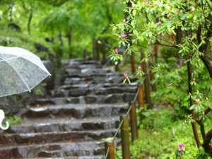 雨　英語